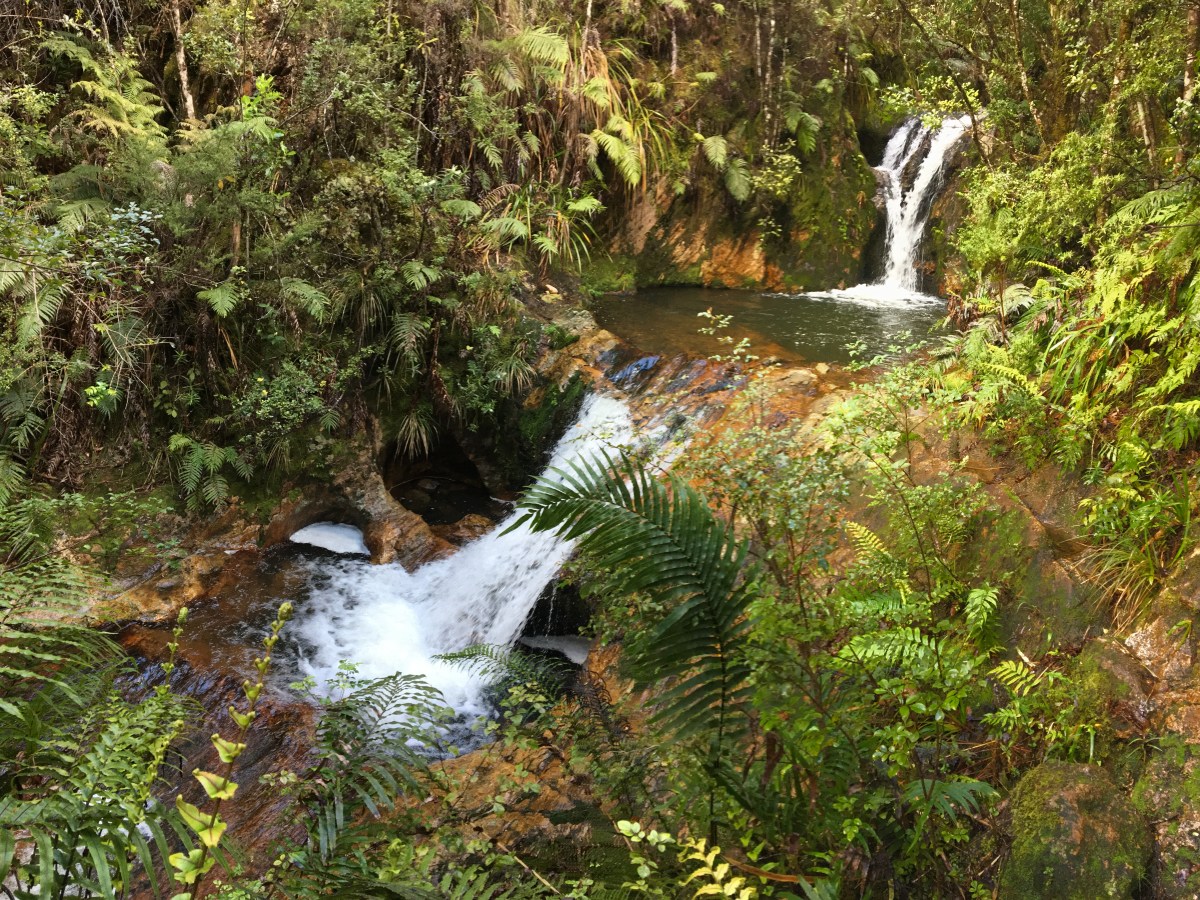 New Zealand: Waikato and Bay of Plenty&nbsp;Regions
