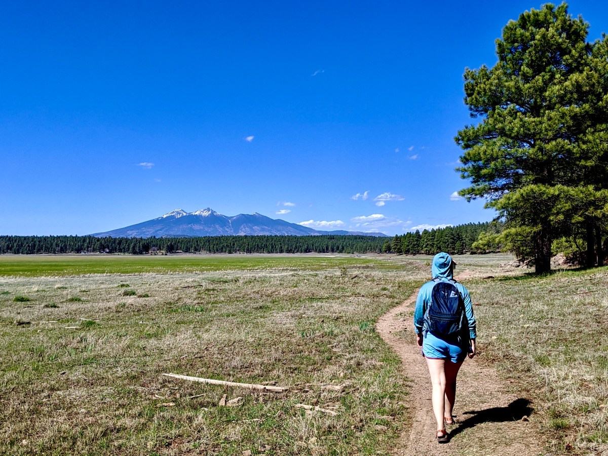 Health and Exciting News&nbsp;Update!